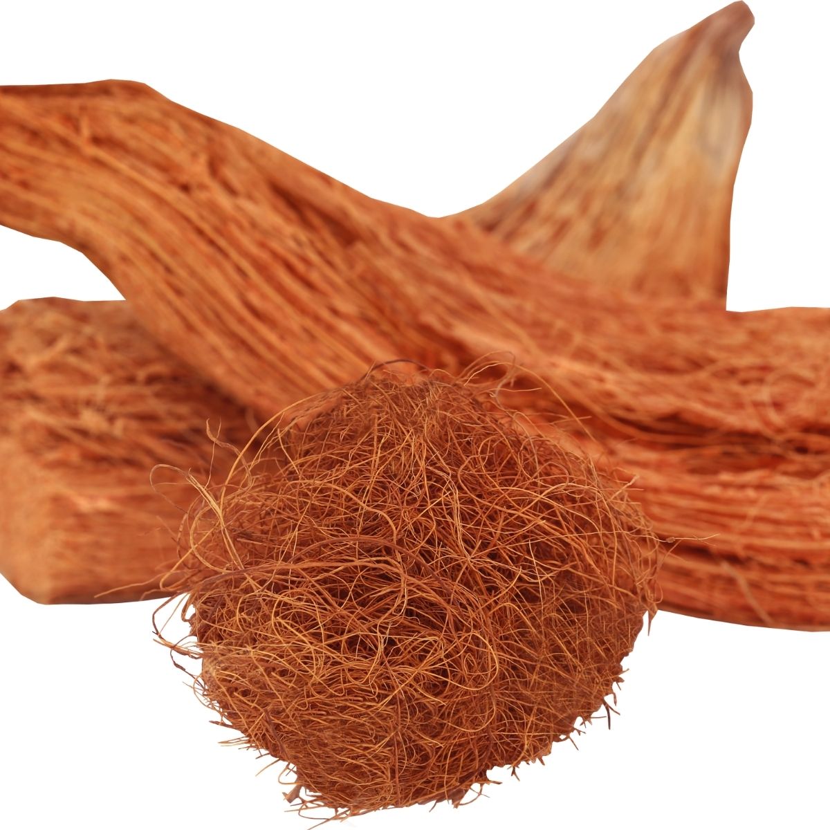 What is Coco Peat?