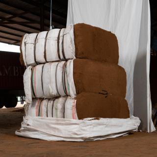 Cocopeat Jumbo Bag