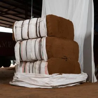 Cocopeat Jumbo Bag